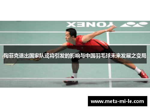 陶菲克退出国家队或将引发的影响与中国羽毛球未来发展之变局 陶菲克退出国家队或将引发的影响与中国羽毛球未来发展之变局